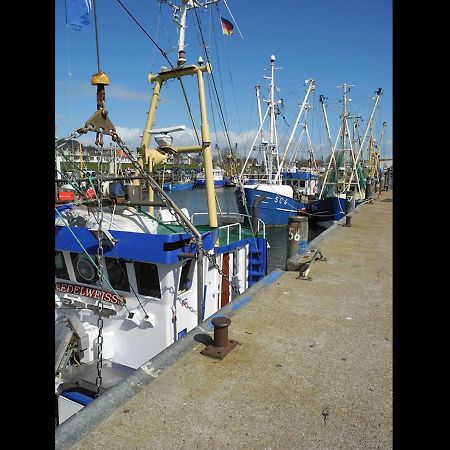 Neu! Fewo Sankt Florian Naehe Heide, Spo, Buesum Lehe (Schleswig-Holstein) Exterior foto